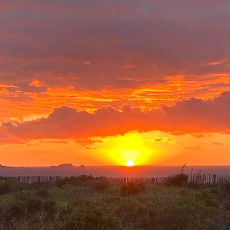 Caselena , Un Havre De Paix En Balagne Ville-di-Paraso Bagian luar foto
